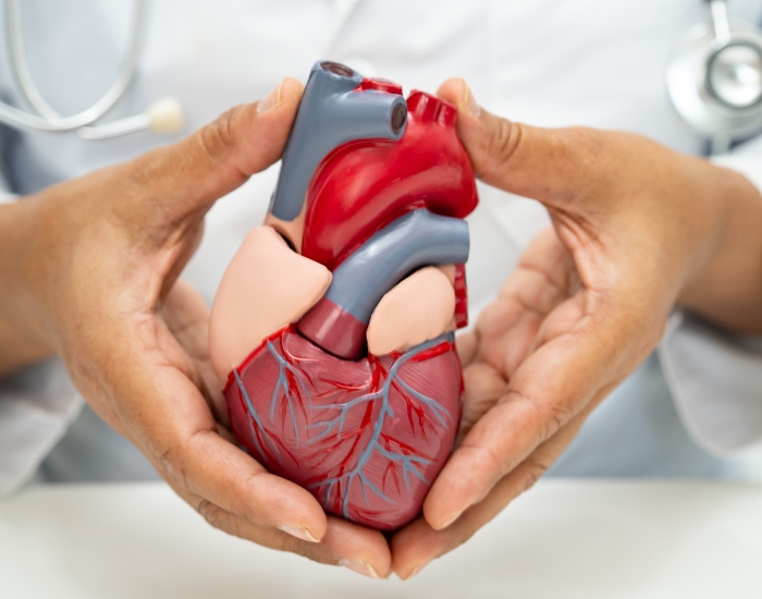 Heart Failure Symptoms: The Critical Warning Signs Most People Miss