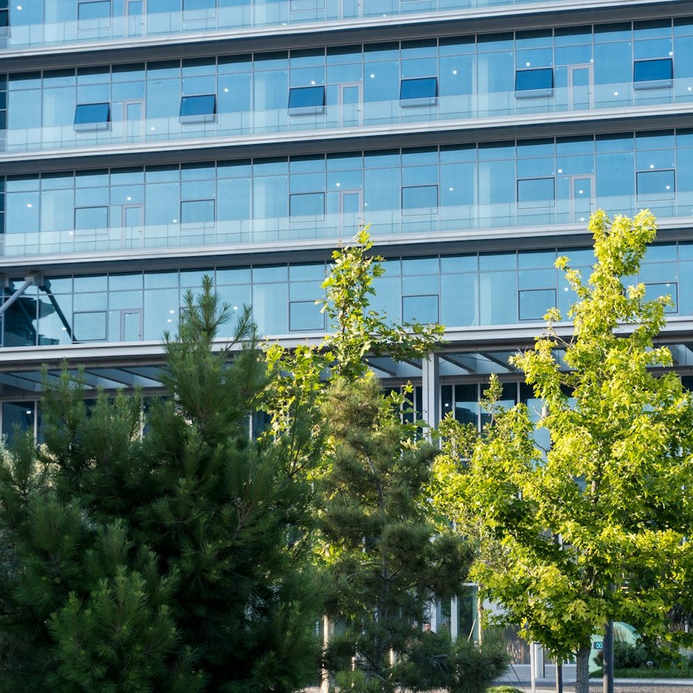 Cypress Cardiovascular Institute - Methodist Office (MOB2)