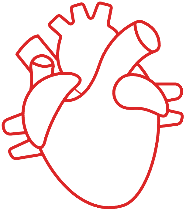 Advanced heart care illustration