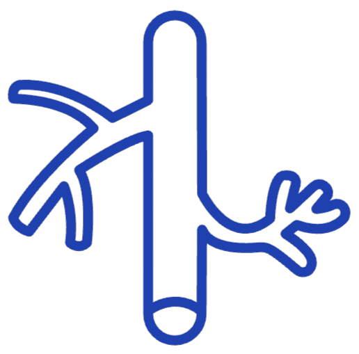 Vein care illustration